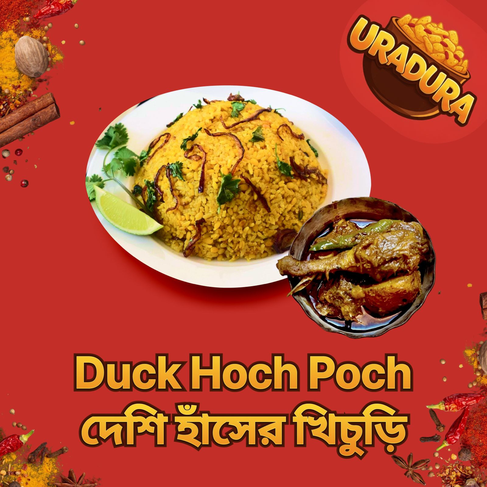 দেশি হাঁসের খিচুড়ি